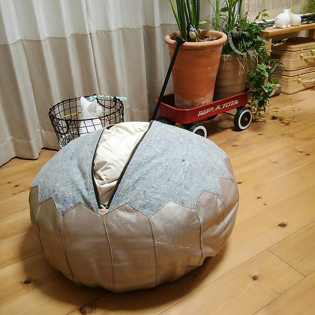naive.coccoさんの実例写真