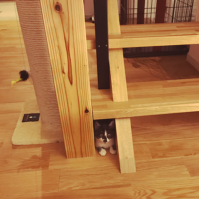 ever0723さんの実例写真