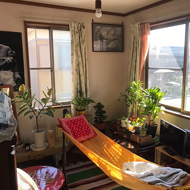 tornadeさんの実例写真