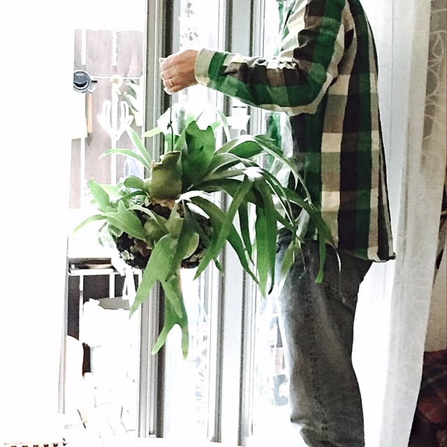 minomonさんの実例写真