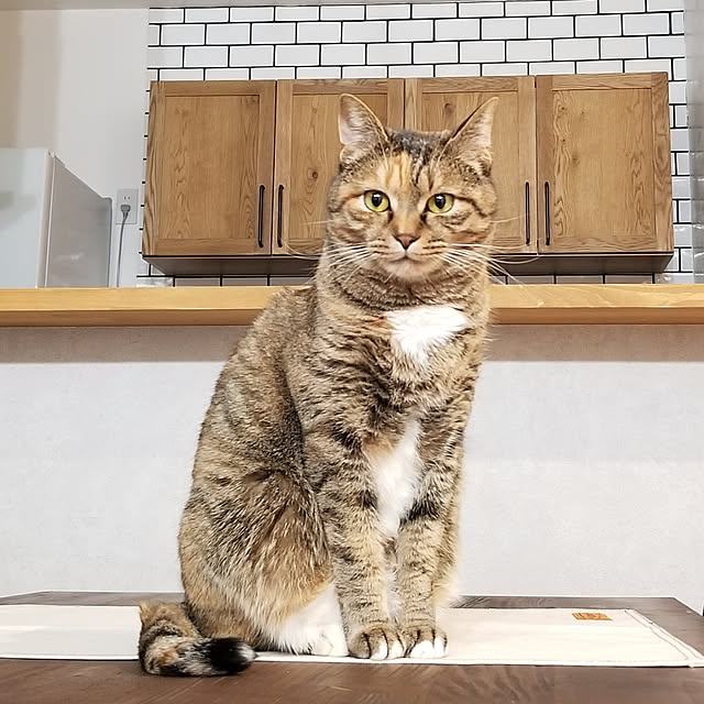 temiさんの実例写真