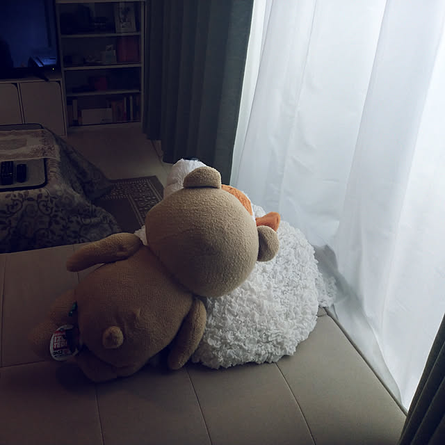 yuzumiさんの実例写真
