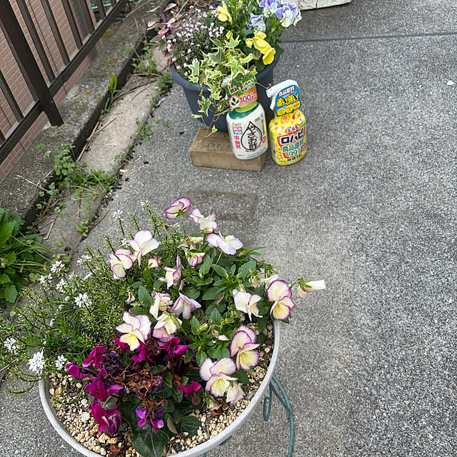 Yukikokoさんの実例写真