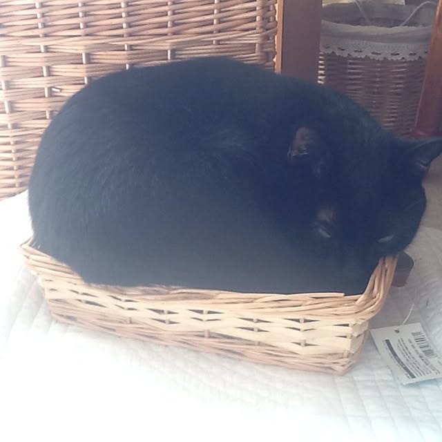 chadoさんの実例写真