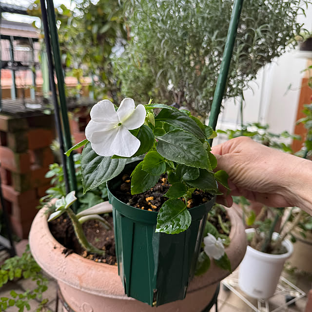 Aqettyさんの部屋