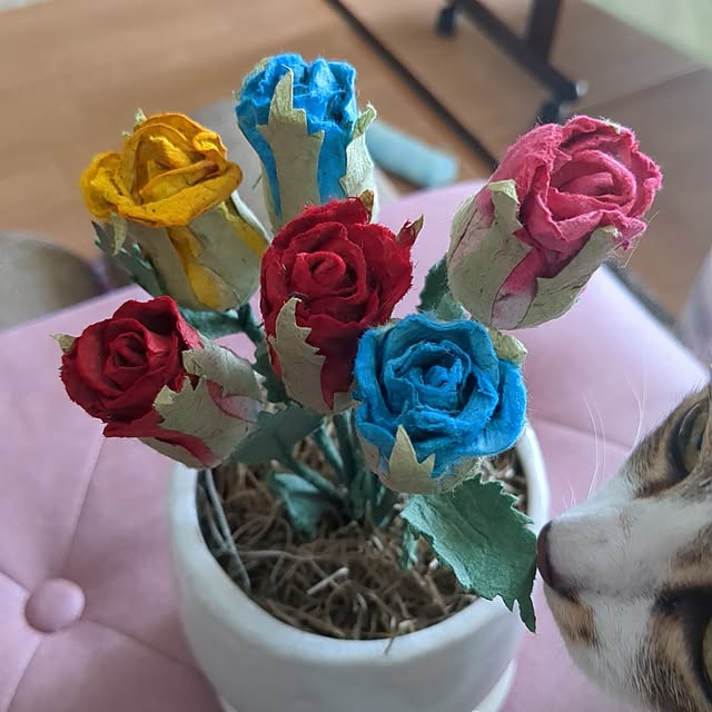 diopucciさんの実例写真