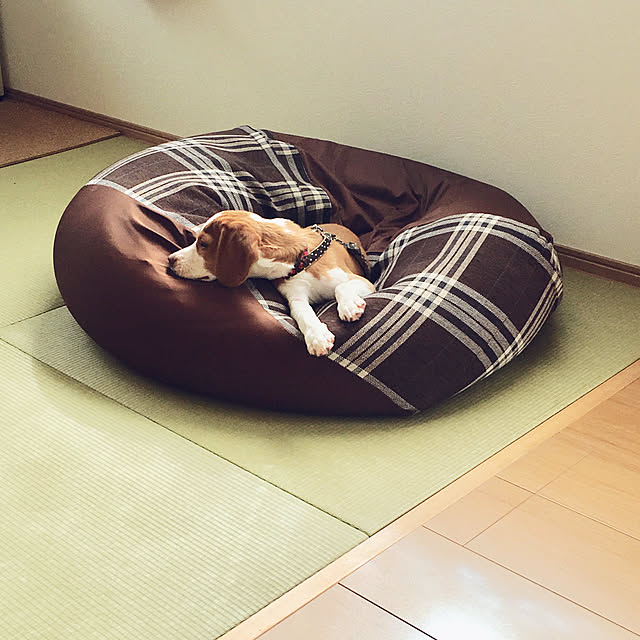 goro_wanさんの実例写真