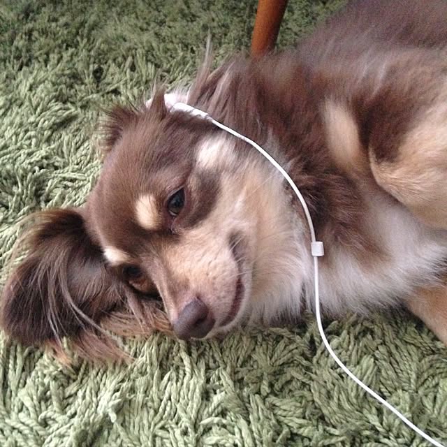 rikakoさんの実例写真