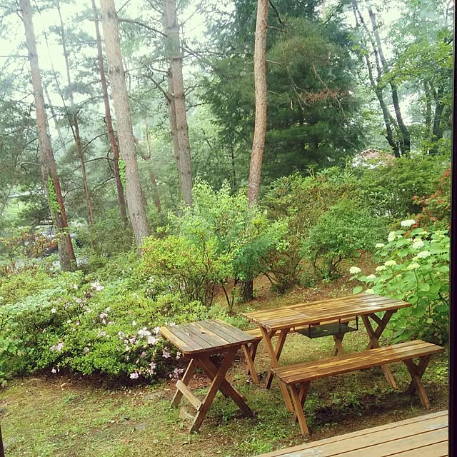 satoさんの実例写真
