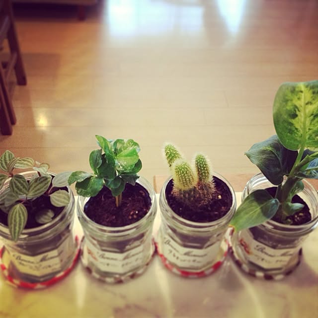 Akikoさんの実例写真