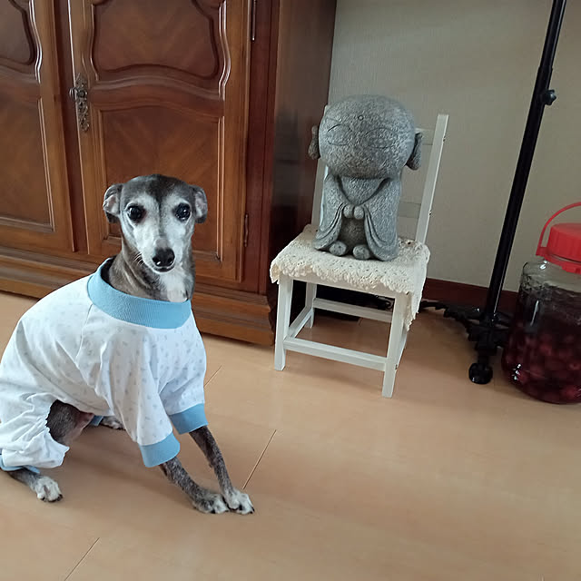 moruさんの実例写真