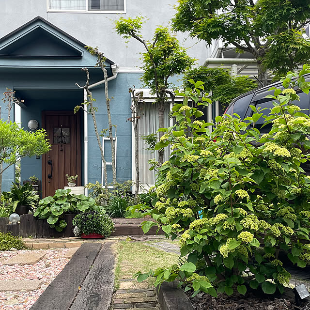 nobikoさんの部屋