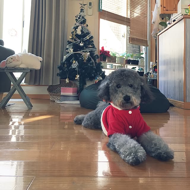 makoriさんの実例写真