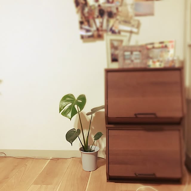 y.hrucさんの実例写真
