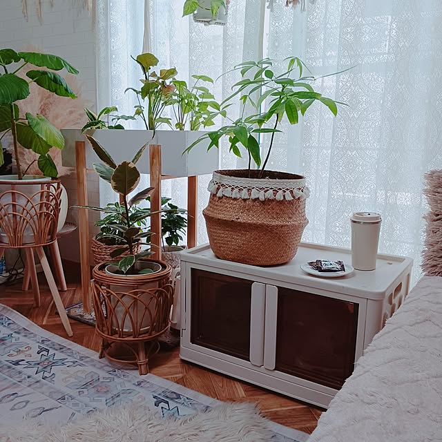 rumi_ebiさんの実例写真