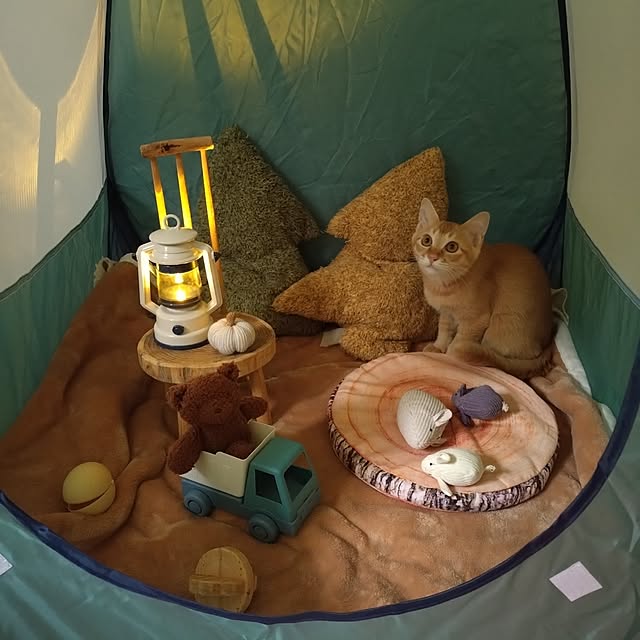 mayutan.さんの部屋