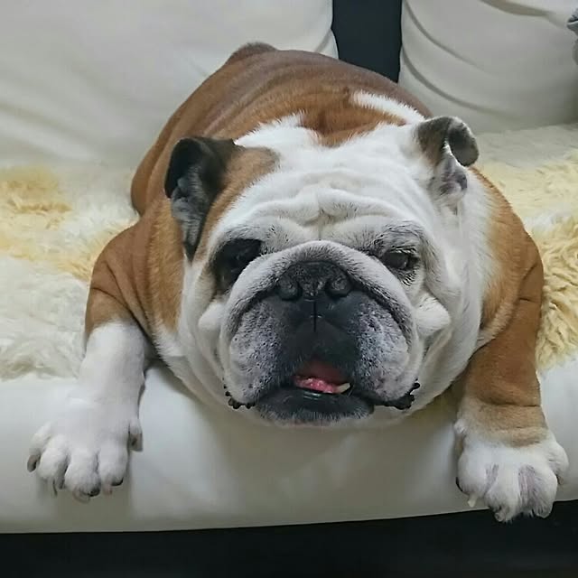 AandPさんの実例写真