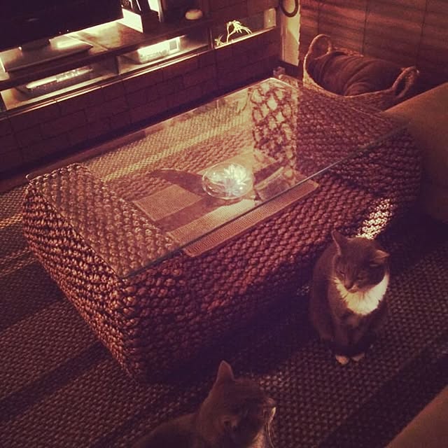 amaneさんの実例写真