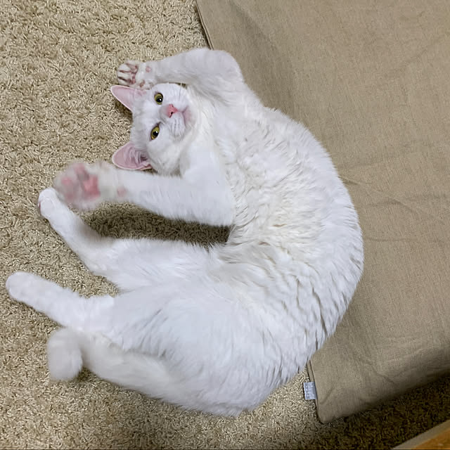 keiさんの実例写真