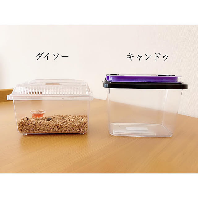 chaluさんの実例写真