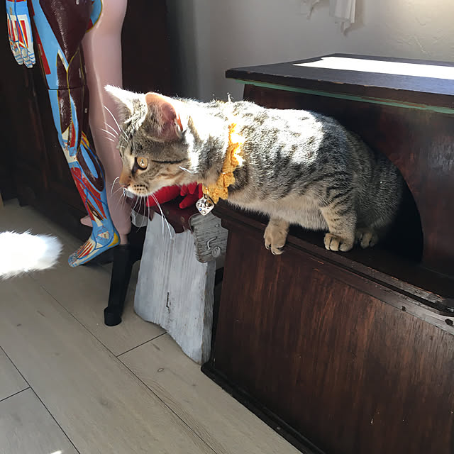 Mさんの実例写真