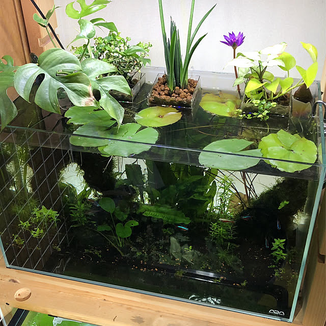 NOAさんの部屋