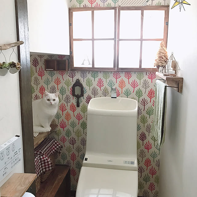 kotoriさんの実例写真