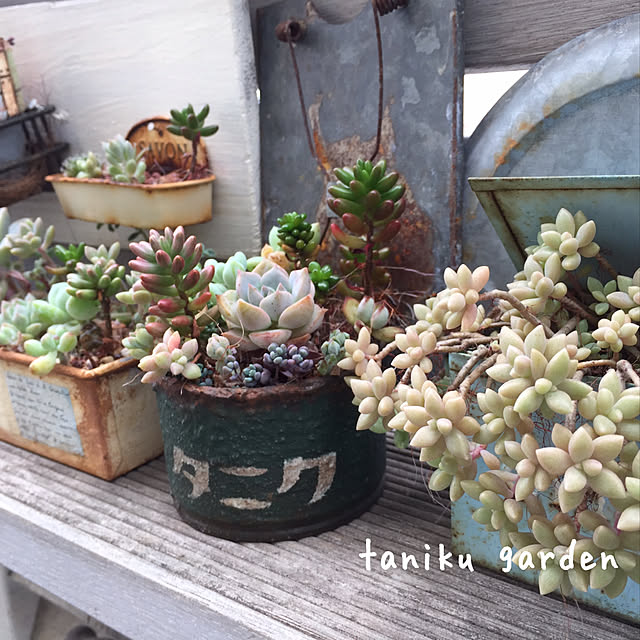 kurumichocoさんの実例写真