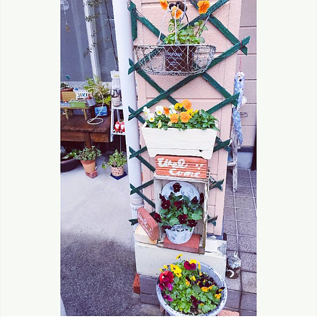 takakoさんの実例写真