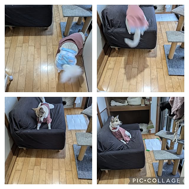 asaさんの部屋