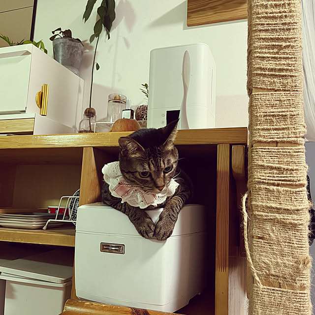 masamasaさんの部屋