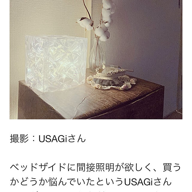 USAGiNさんの実例写真