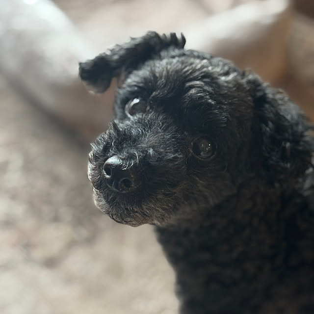 Etsukoさんの部屋