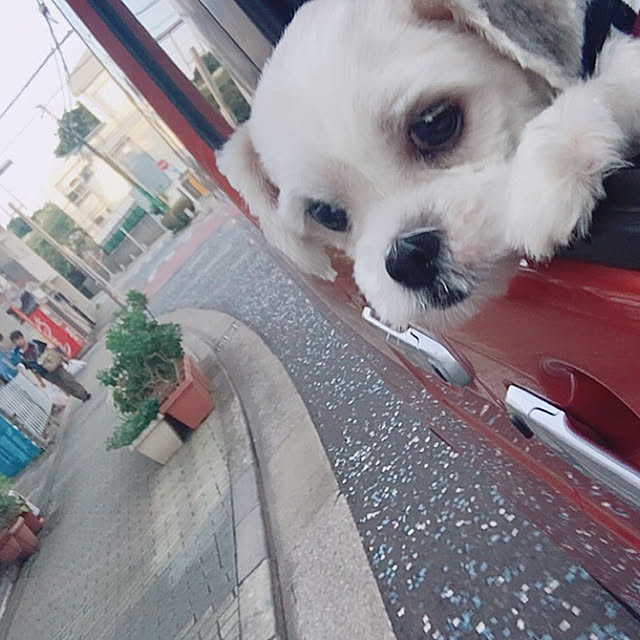 emiさんの実例写真
