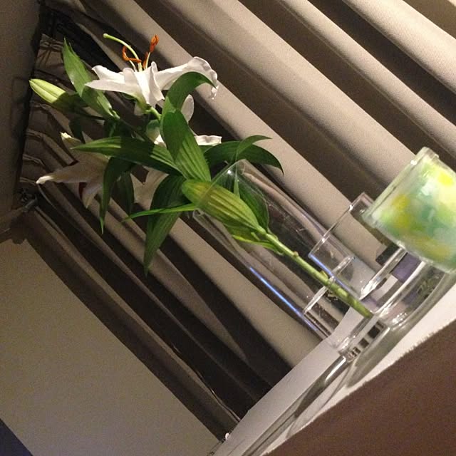 sasaさんの実例写真