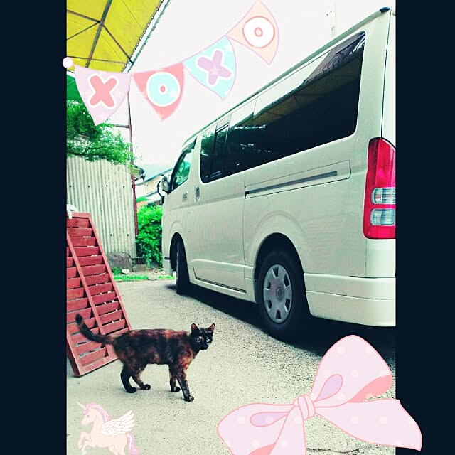 cherrycherryさんの実例写真