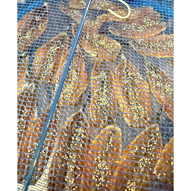 ToReTaRiさんの部屋