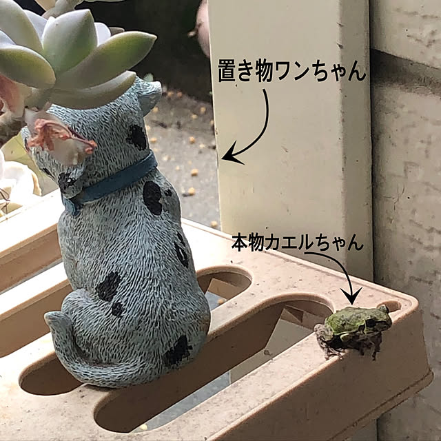 mayuyuさんの実例写真