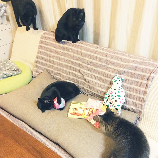 yuki0511さんの実例写真