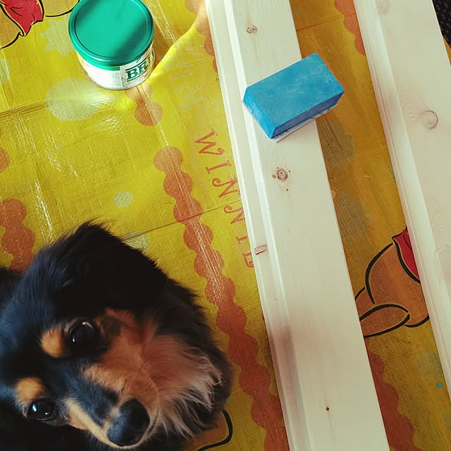 mayuさんの実例写真