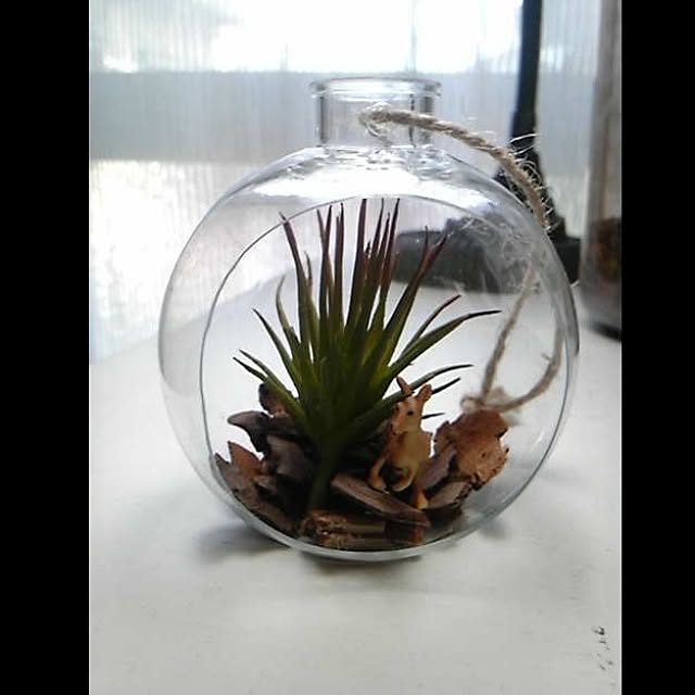 INDOORさんの実例写真