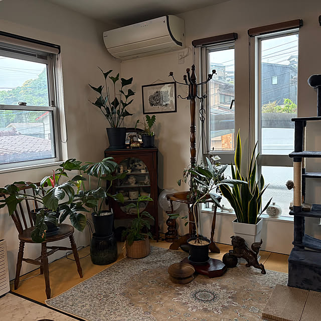 manonさんの実例写真