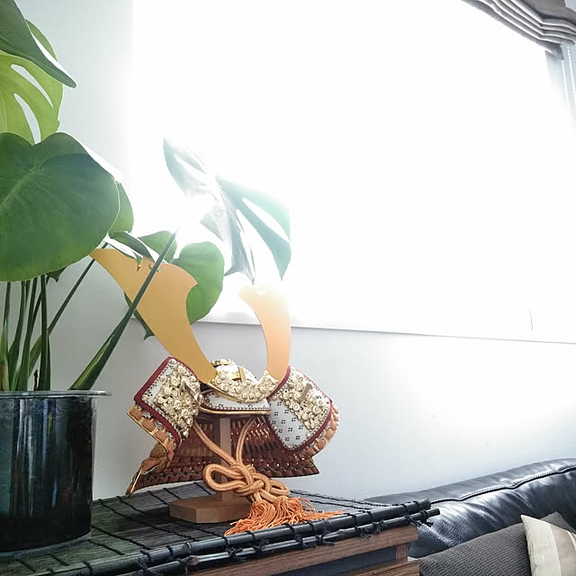 kodaminさんの実例写真