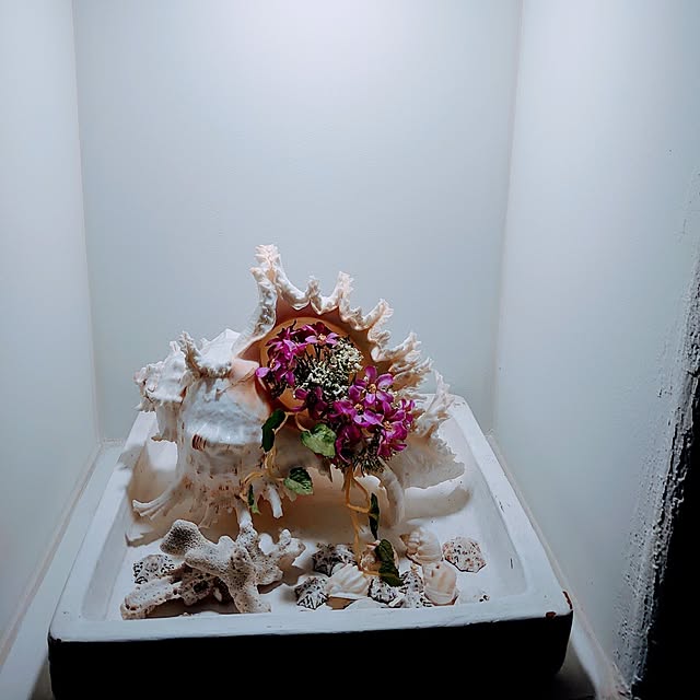 akaidarumaさんの部屋