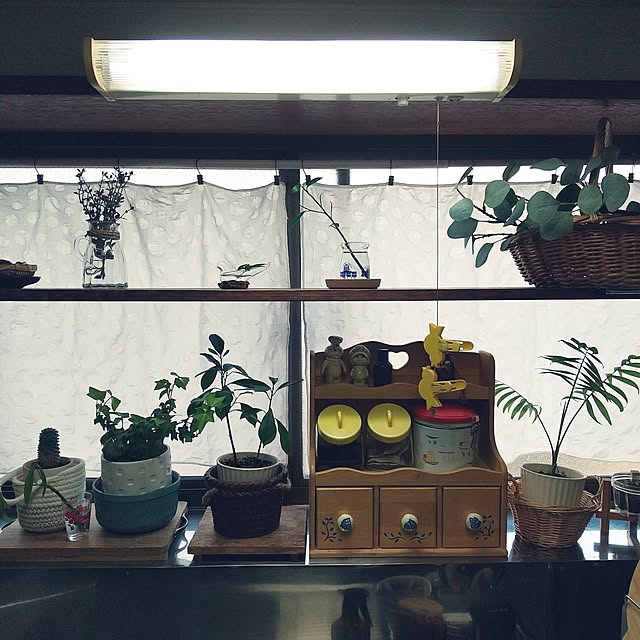 emibutaさんの実例写真