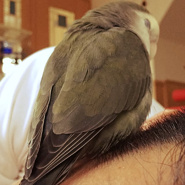 kaotanさんの実例写真