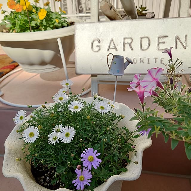 fleur-mamanさんの部屋