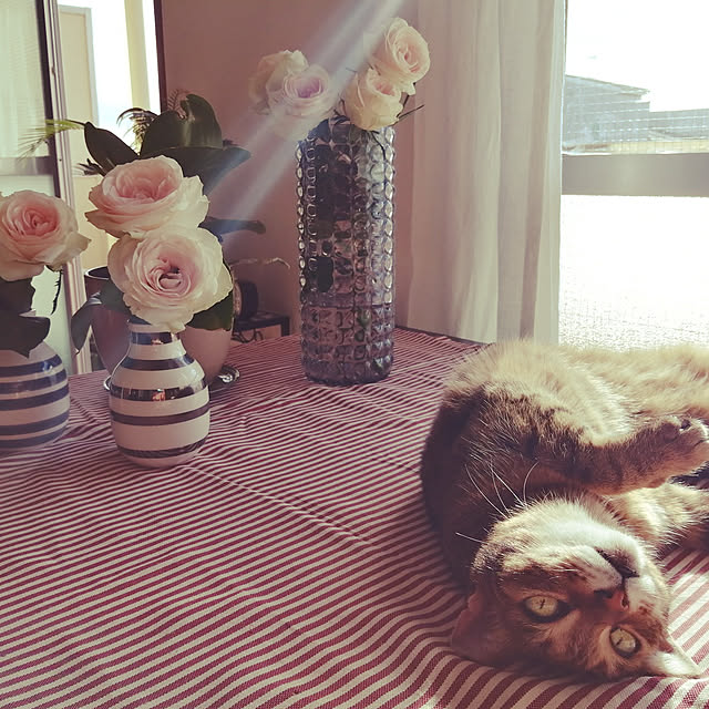 nahocさんの実例写真