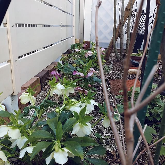 Bienvenueさんの部屋
