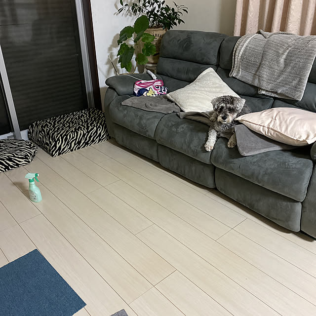 alchoさんの実例写真